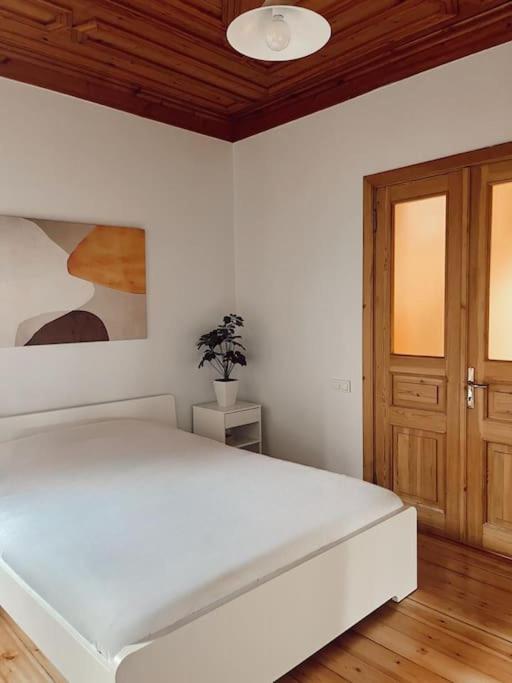 Renovated Historical Manor Villa Istanbul
